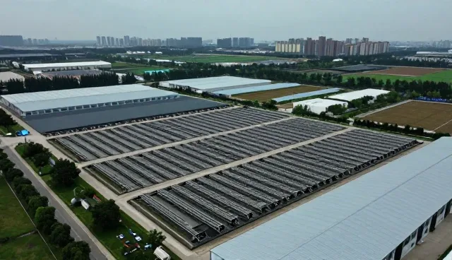 软件驱动企业转型，网络完善助力业务发展